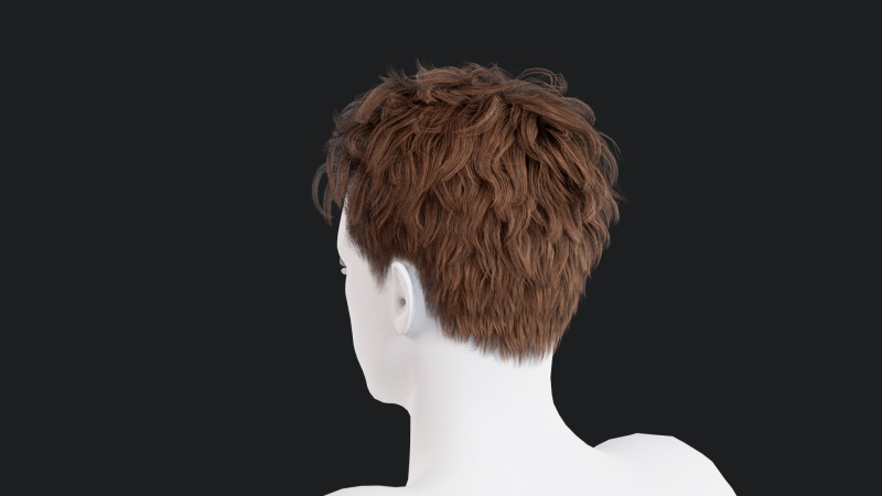 Realistic Male Hair 3Dモデル .c4d .max .obj .3ds .fbx .stl .blend 