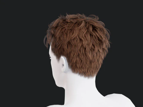 Realistic Male Hair 3D Model