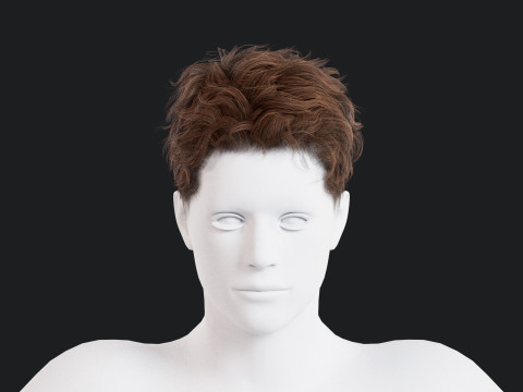 Realistic Male Hair 3Dモデル