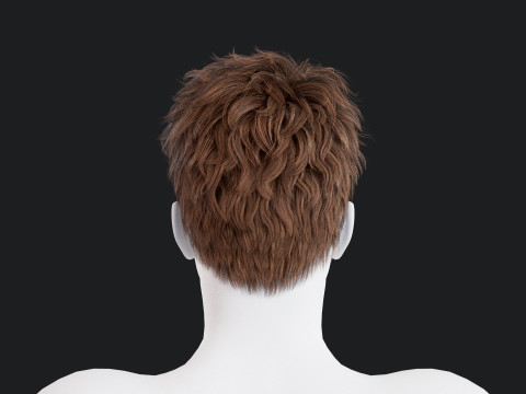 Realistic Male Hair 3Dモデル