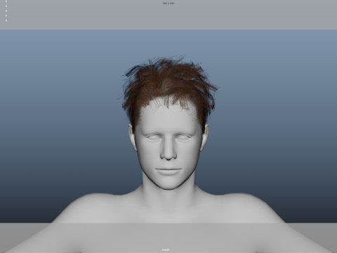 Realistic Male Hair 3Dモデル