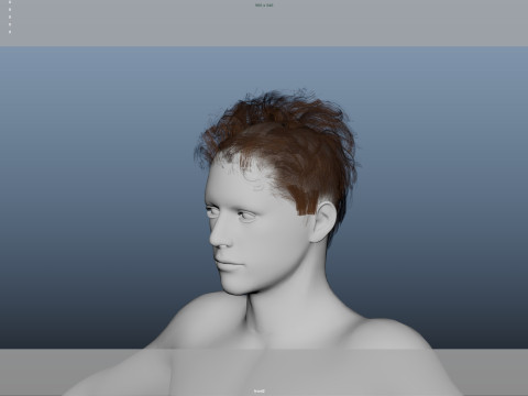 Realistic Male Hair 3Dモデル