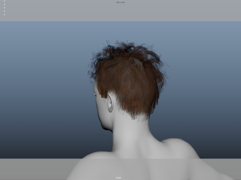 Realistic Male Hair 3Dモデル
