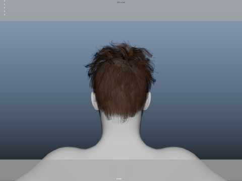 Realistic Male Hair 3Dモデル