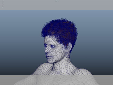 Realistic Male Hair 3Dモデル