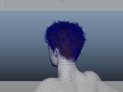 Realistic Male Hair 3Dモデル