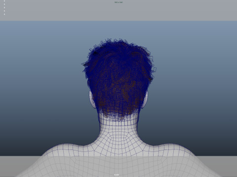 Realistic Male Hair 3Dモデル