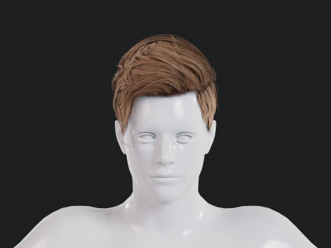 Realistic Male Hair 3D Model