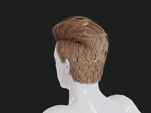 Realistic Male Hair 3D 모델
