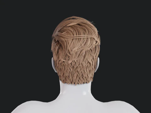 Realistic Male Hair 3D Model
