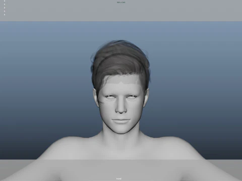 Realistic Male Hair 3D Model