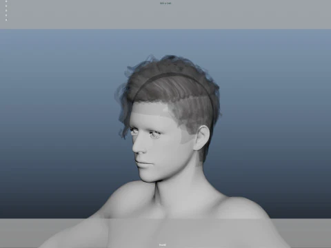 Realistic Male Hair 3D Model