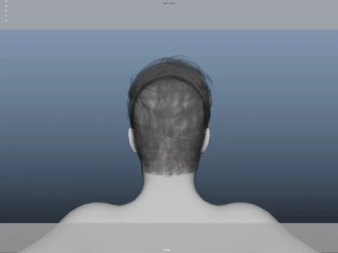 Realistic Male Hair 3D Model