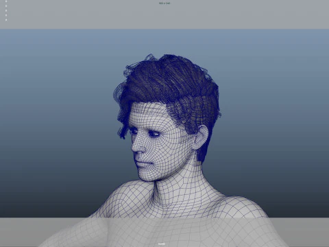 Realistic Male Hair 3D Model