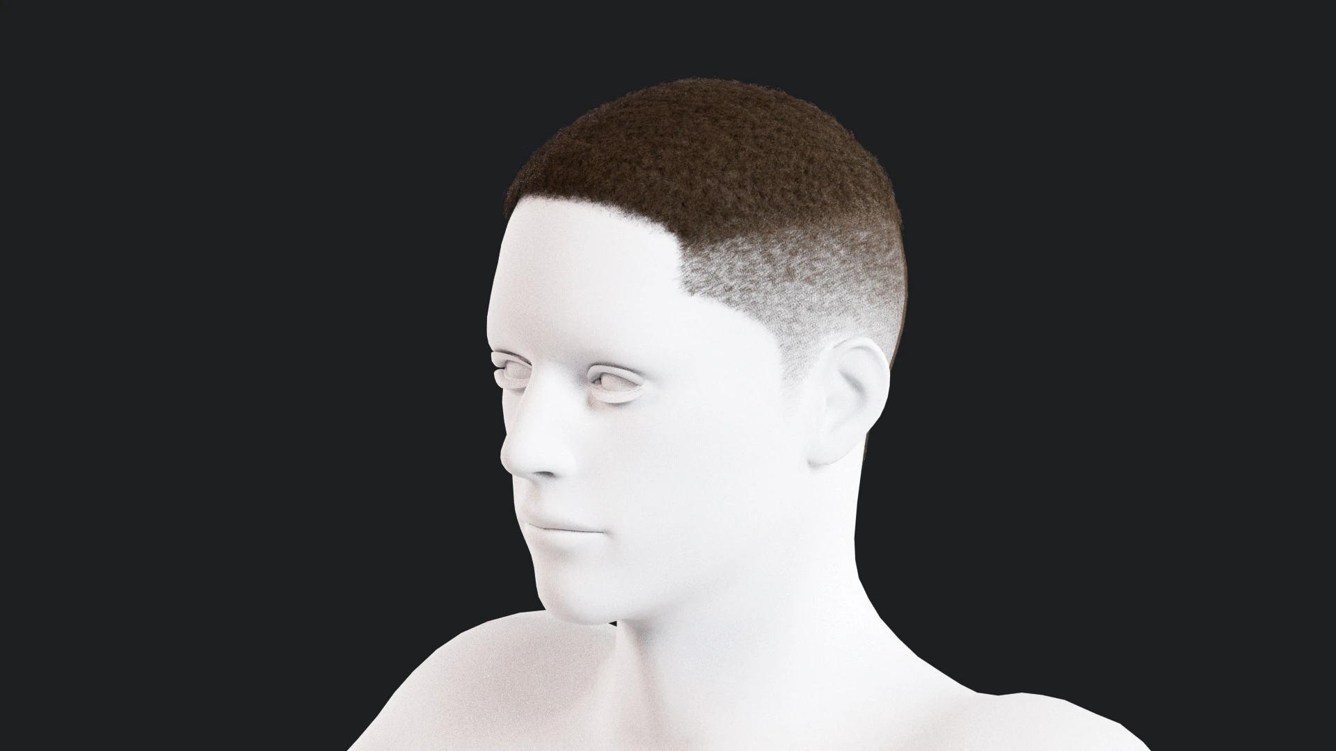 Realistic Male Hair 3D Model .c4d .max .obj .3ds .fbx .stl .blend 
