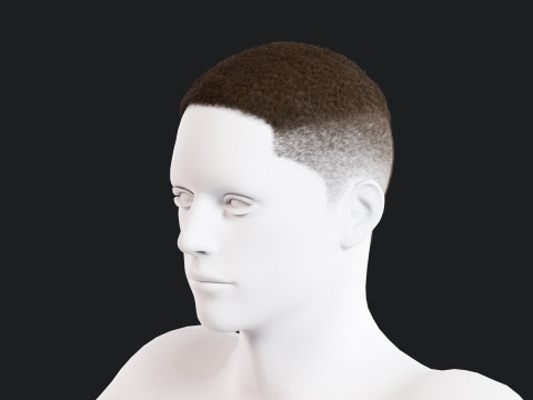 Realistic Male Hair 3D Model