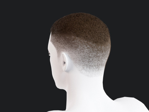 Realistic Male Hair Modelo 3D