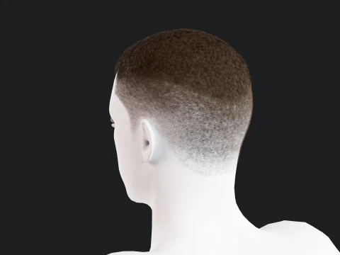 Realistic Male Hair 3D Model