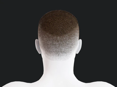 Realistic Male Hair 3D Model