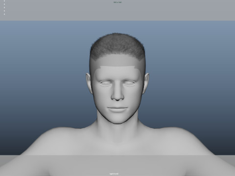 Realistic Male Hair Modelo 3D