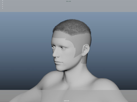 Realistic Male Hair Modelo 3D