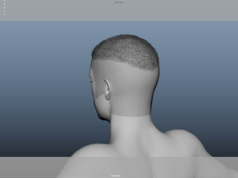 Realistic Male Hair Modelo 3D