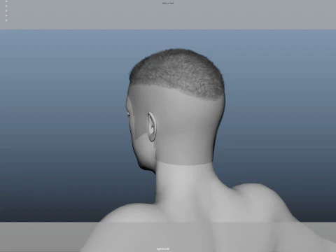 Realistic Male Hair 3D Model