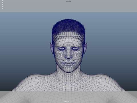 Realistic Male Hair Modelo 3D