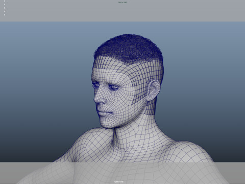 Realistic Male Hair Modelo 3D