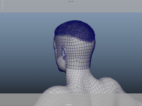 Realistic Male Hair Modelo 3D