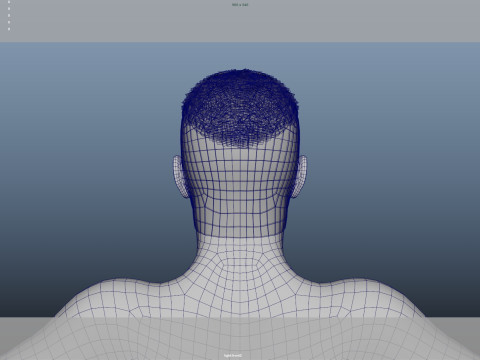 Realistic Male Hair Modelo 3D