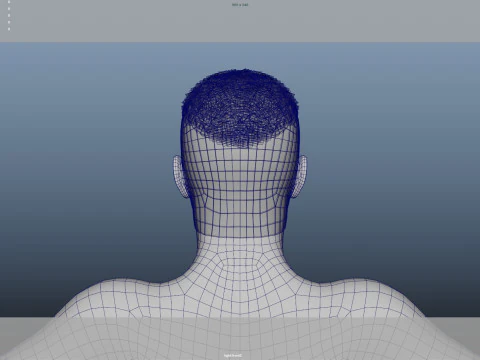 Realistic Male Hair 3D Model