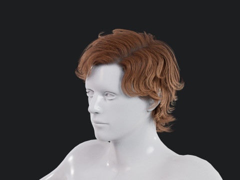 Realistic Male Hair Low-poly 3D Model