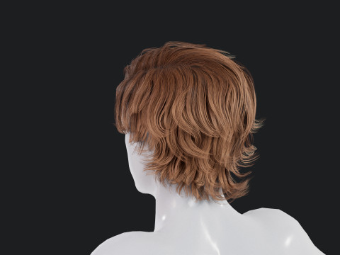 Realistic Male Hair Low-poly 3Dモデル