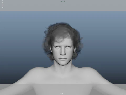 Realistic Male Hair Low-poly 3D Model