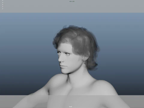 Realistic Male Hair Low-poly 3D Model