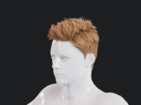 Realistic Male Hair Low-poly 3Dモデル