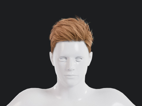 Realistic Male Hair Low-poly Modelo 3D