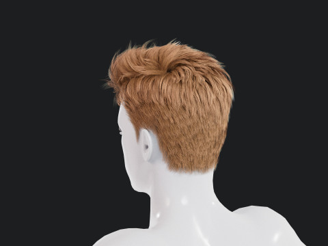 Realistic Male Hair Low-poly Modelo 3D