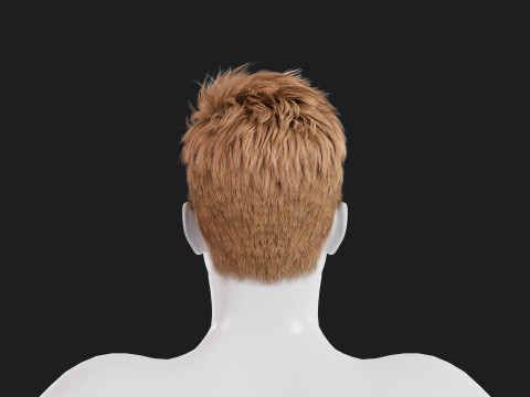 Realistic Male Hair Low-poly Modelo 3D