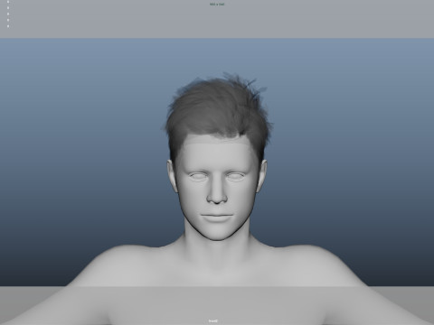 Realistic Male Hair Low-poly Modelo 3D