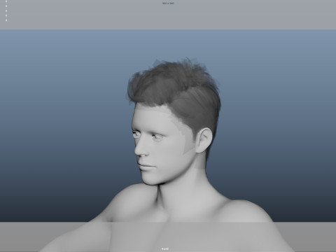 Realistic Male Hair Low-poly Modelo 3D