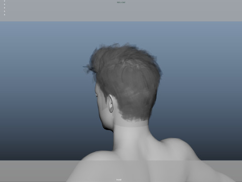 Realistic Male Hair Low-poly Modelo 3D