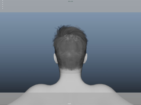 Realistic Male Hair Low-poly Modelo 3D
