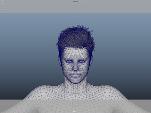 Realistic Male Hair Low-poly Modelo 3D