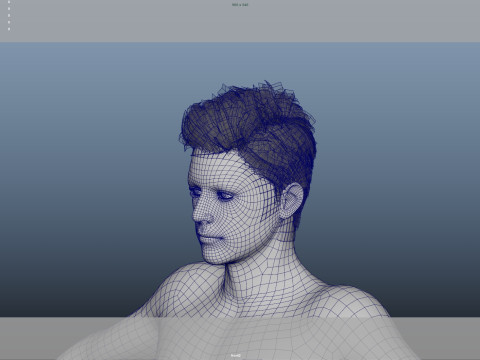 Realistic Male Hair Low-poly Modelo 3D
