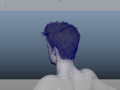 Realistic Male Hair Low-poly Modelo 3D