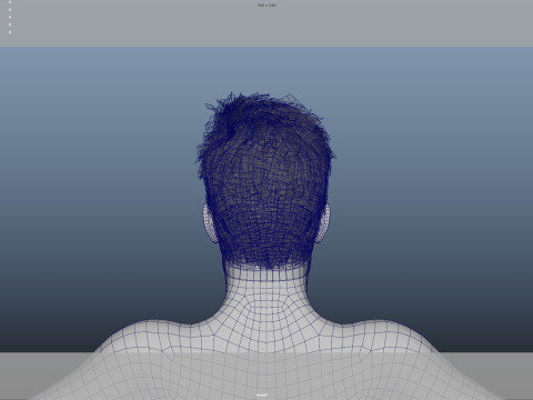 Realistic Male Hair Low-poly Modelo 3D