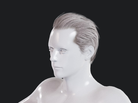 Realistic Male Hair Low-poly 3D Model