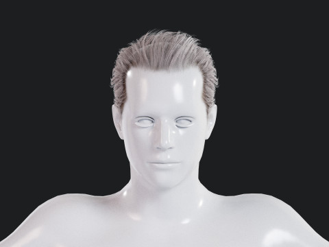 Realistic Male Hair Low-poly 3D Model
